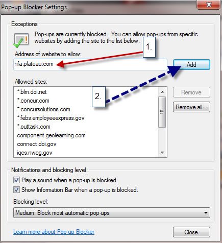 Add nfa.plateau.com to "Allowed sites".